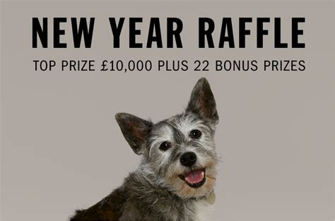 battersea dogs paw draw|Lotteries and Raffles .